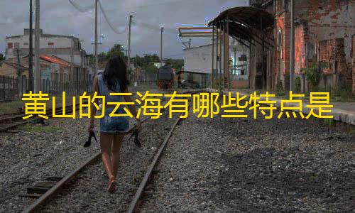 暗区突围飞天科技黄山的云海有哪些特点是什么